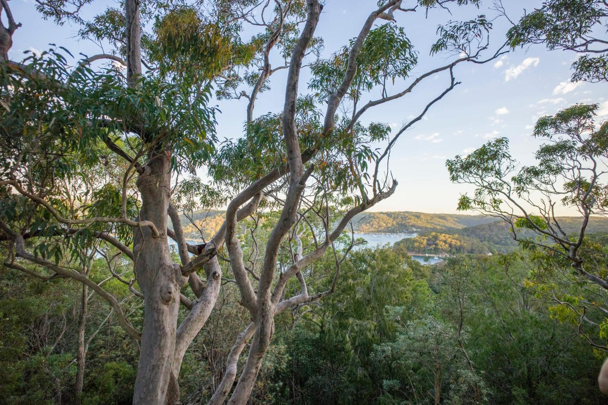 Хостел Yha Pittwater Eco, Sydney Church Point Экстерьер фото